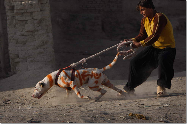 image image