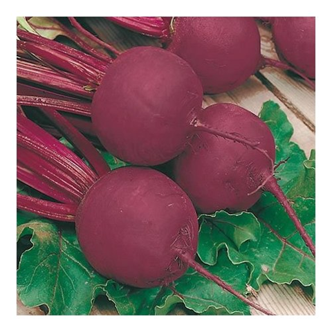 Свежая свекла с зеленью