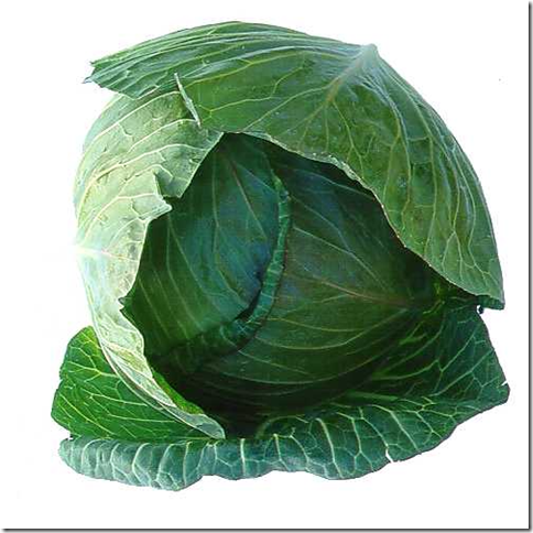 Свежая белокочанная капуста
