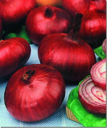 Связка репчатого лука