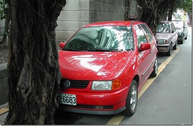 1003bxcbxcv 1003bxcbxcv