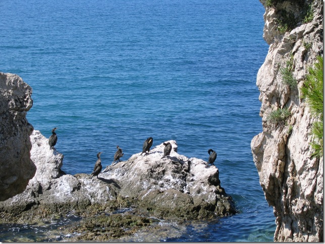 Riserva Miramare Baklanos Riserva Miramare Baklanos
