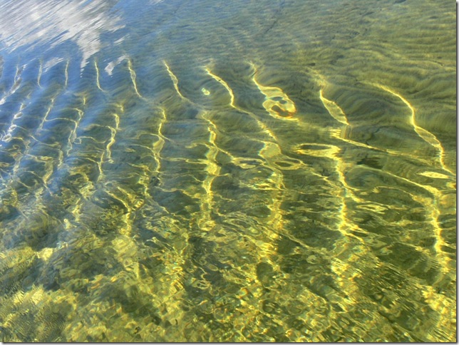 прозрачная вода озера Свитязь